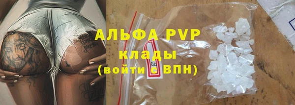шишки Надым