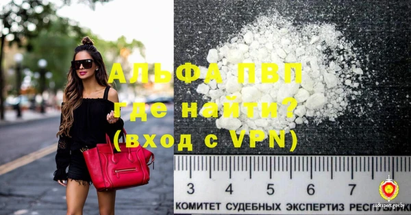 шишки Надым
