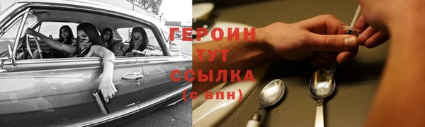 шишки Надым