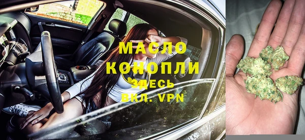 шишки Надым
