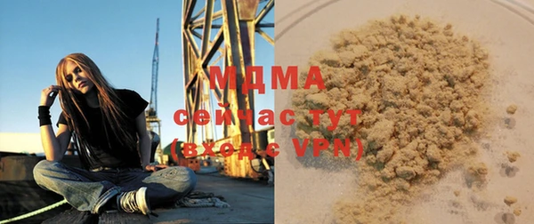 шишки Надым