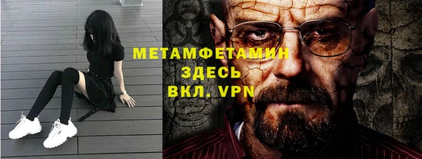 шишки Надым
