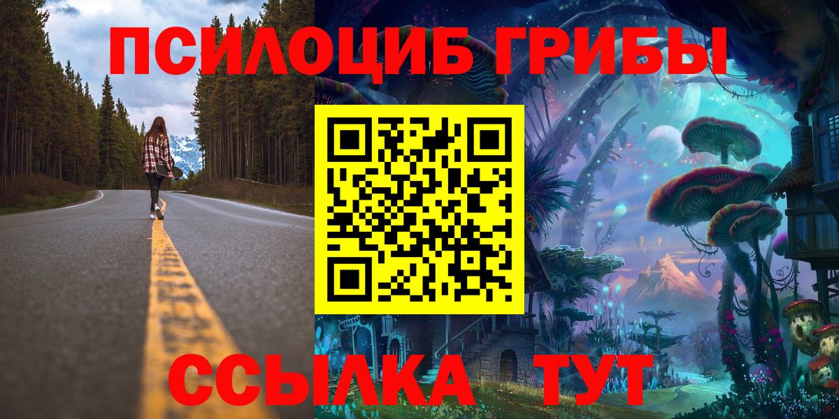 Галлюциногенные грибы Cubensis Старая Русса