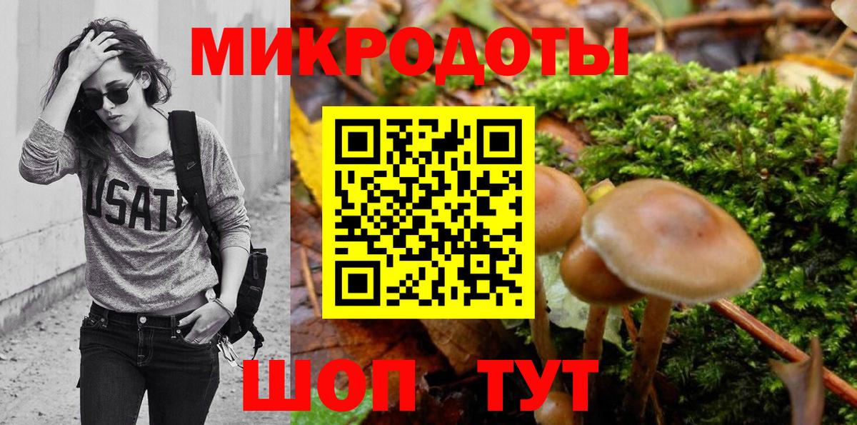 цена   Вход с VPN  Старая Русса  Псилоцибиновые грибы мицелий 
